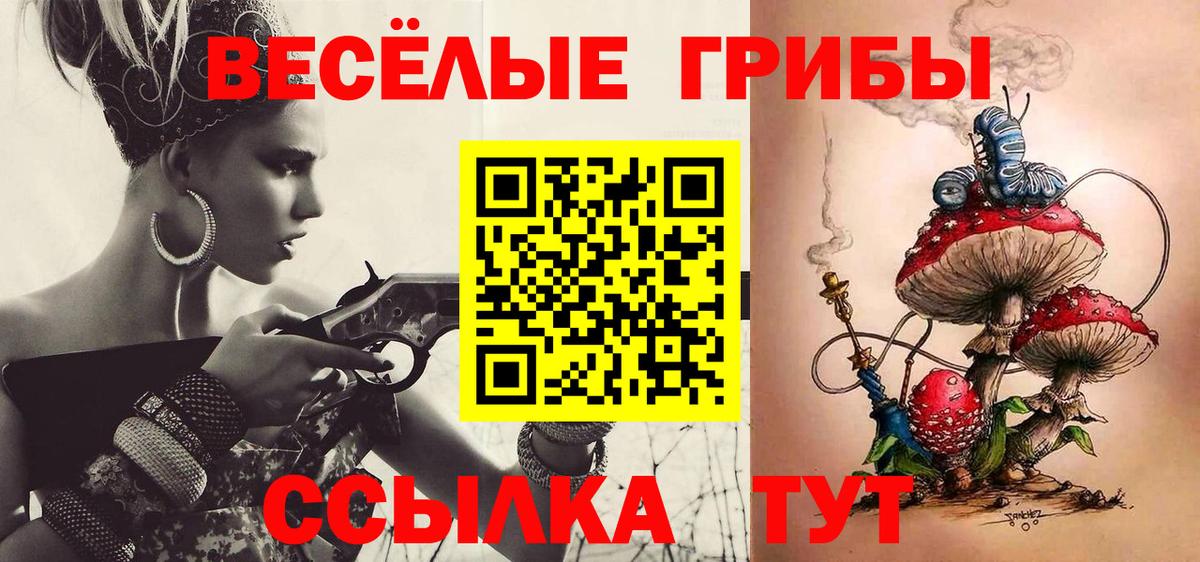 Псилоцибиновые грибы Psilocybine cubensis Михайловск