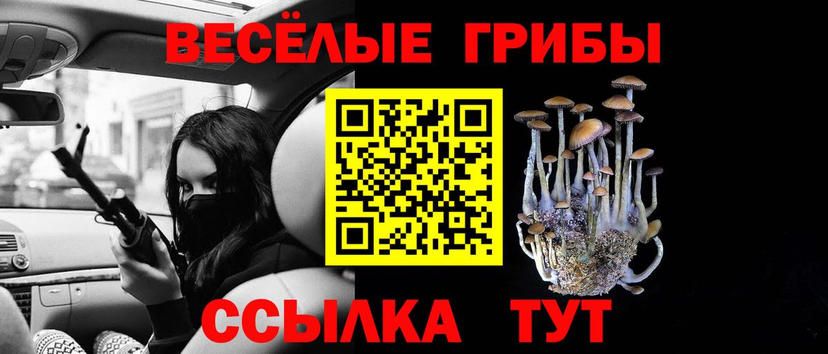 купить  цена  Вход с VPN  Псилоцибиновые грибы мицелий  Михайловск  Галлюциногенные грибы прущие грибы 